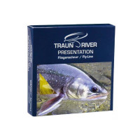 TRAUN RIVER Presentation WF6