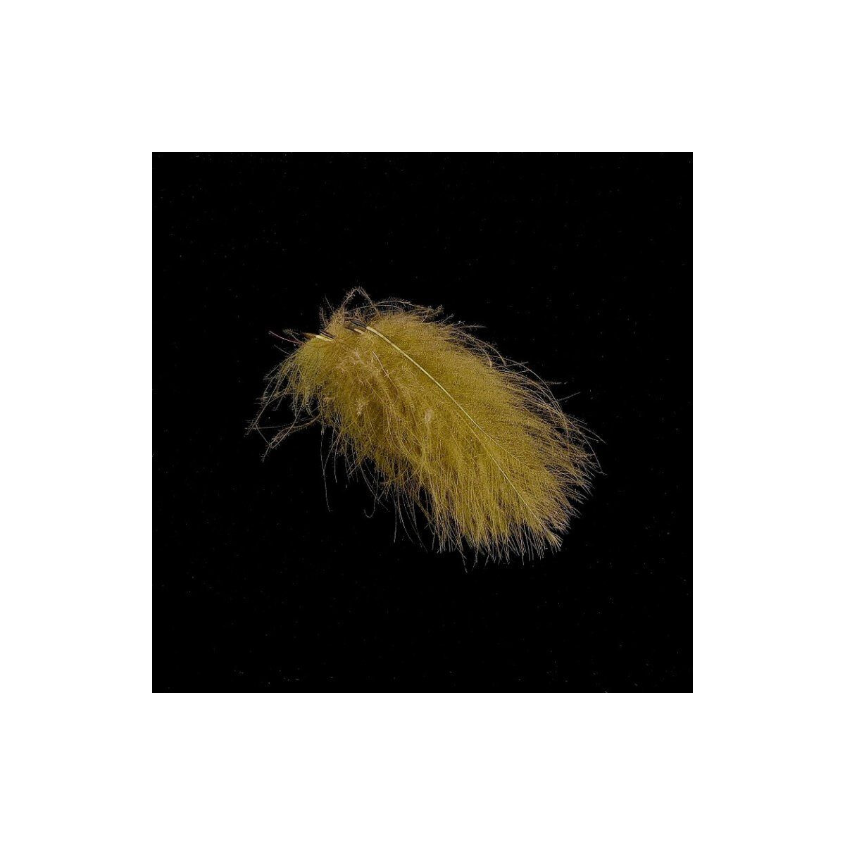 HENDS CDC-06 Federn 25St. selektiert Oliv
