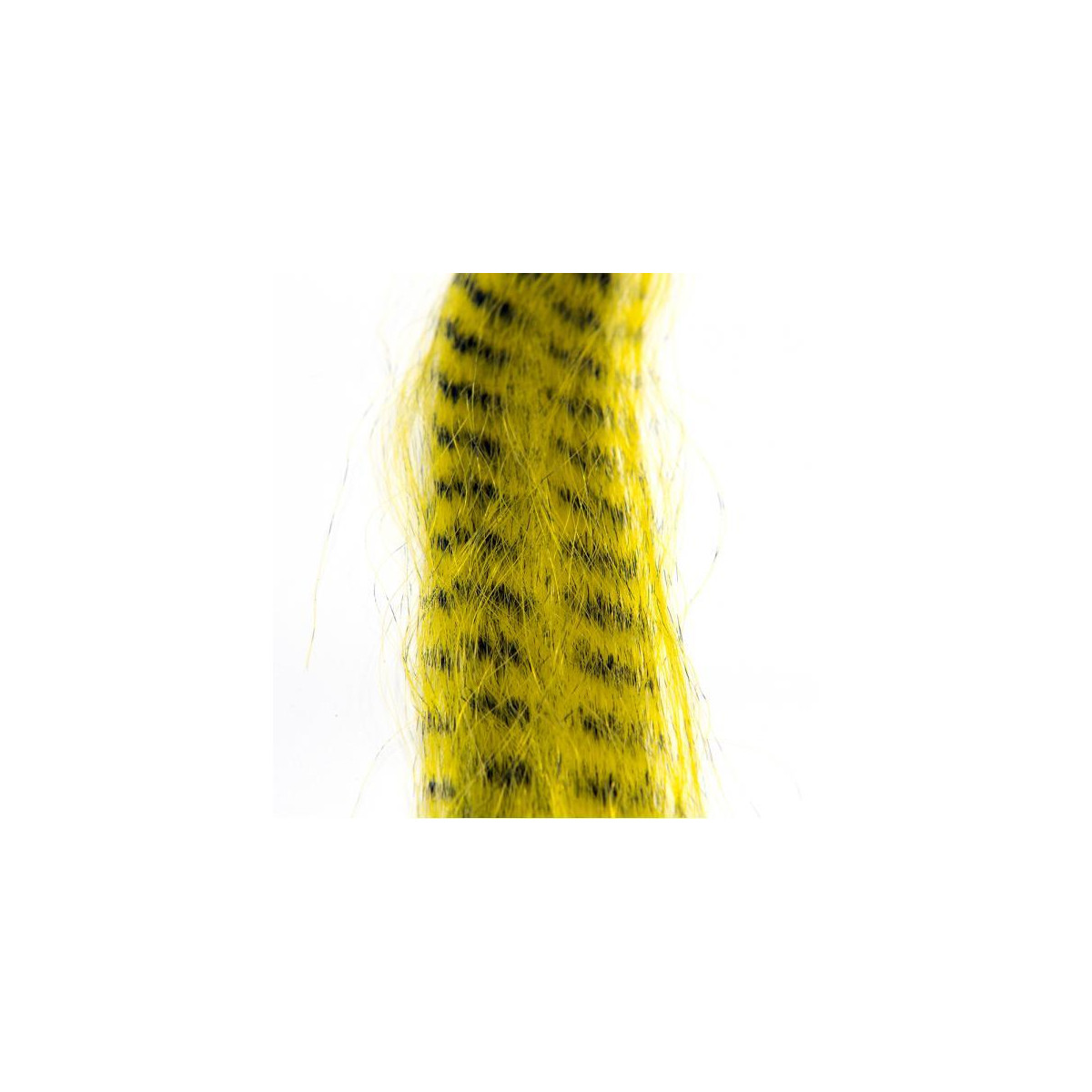 FLY SCENE PIKE MONKEY Zebra Hair