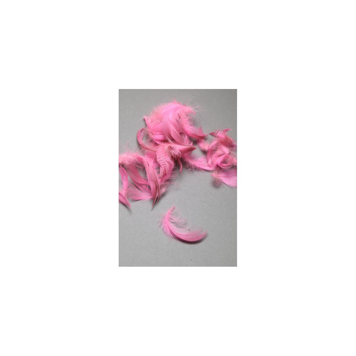 FLY SCENE Mallard Flankenfedern - Fluo Pink