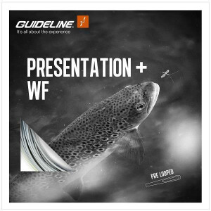 GUIDELINE Presentation+ WF #5