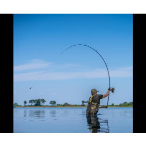 AVID Revolve 10ft 3,5lbs