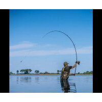 AVID Revolve 10ft 3,5lbs