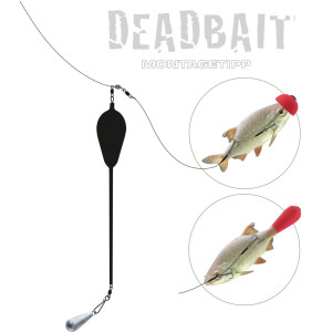 JENZI Dead Bait Pop-Up Kit Auftriebssystem