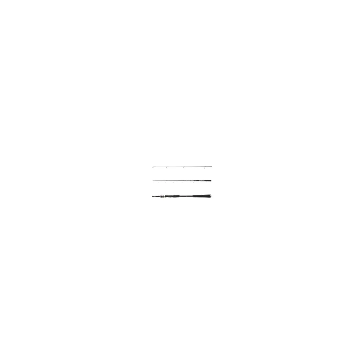 DAIWA Exceler Spin Seatrout 3,15m 15-40g