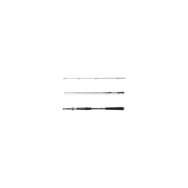 DAIWA Exceler Spin Seatrout 3,15m 15-40g