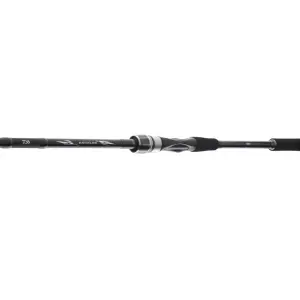 DAIWA Exceler Spin Seatrout 3,15m 15-40g
