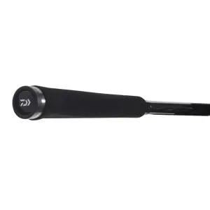 DAIWA Exceler Spin Seatrout 3,15m 15-40g