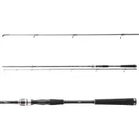 DAIWA Exceler Spin Seatrout 3,15m 15-40g