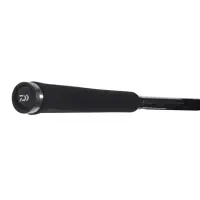 DAIWA Exceler Spin Seatrout 3,15m 15-40g