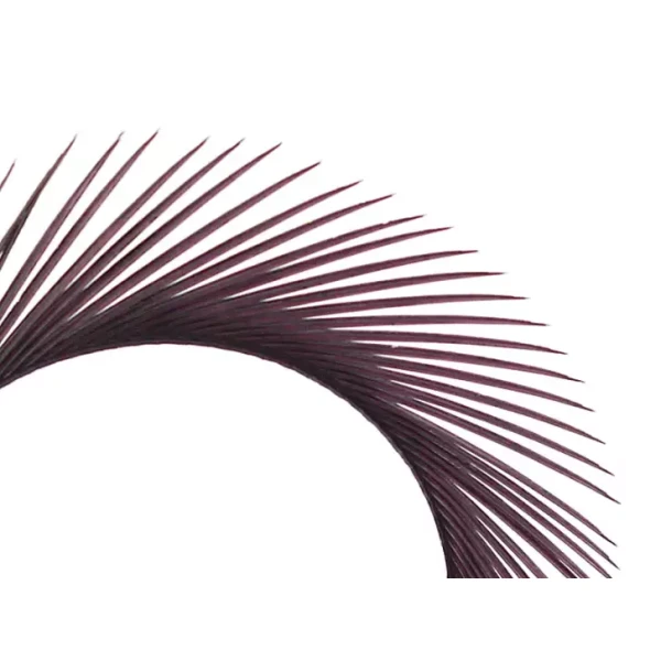 TRAUN RIVER  Biots grau/purple