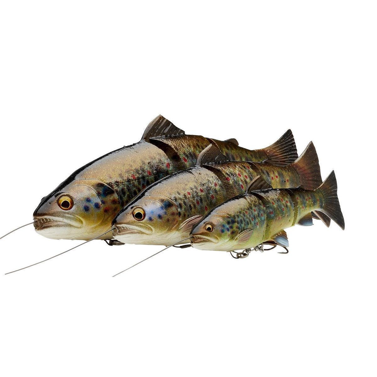 SAVAGE GEAR 4D LT Trout 25cm 193g S Rainbow