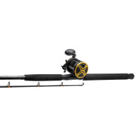 KINETIC Powercore CC 1,95m P8 20-30lbs 100-400g 2sec 30 1+1BB