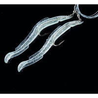 JENZI DEGA Sand-Eel Rig 2 Arme 100cm 0,80mm #8/0