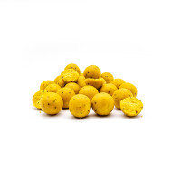 P.R. BAITS Boilies Fruity Zing 20mm 1kg