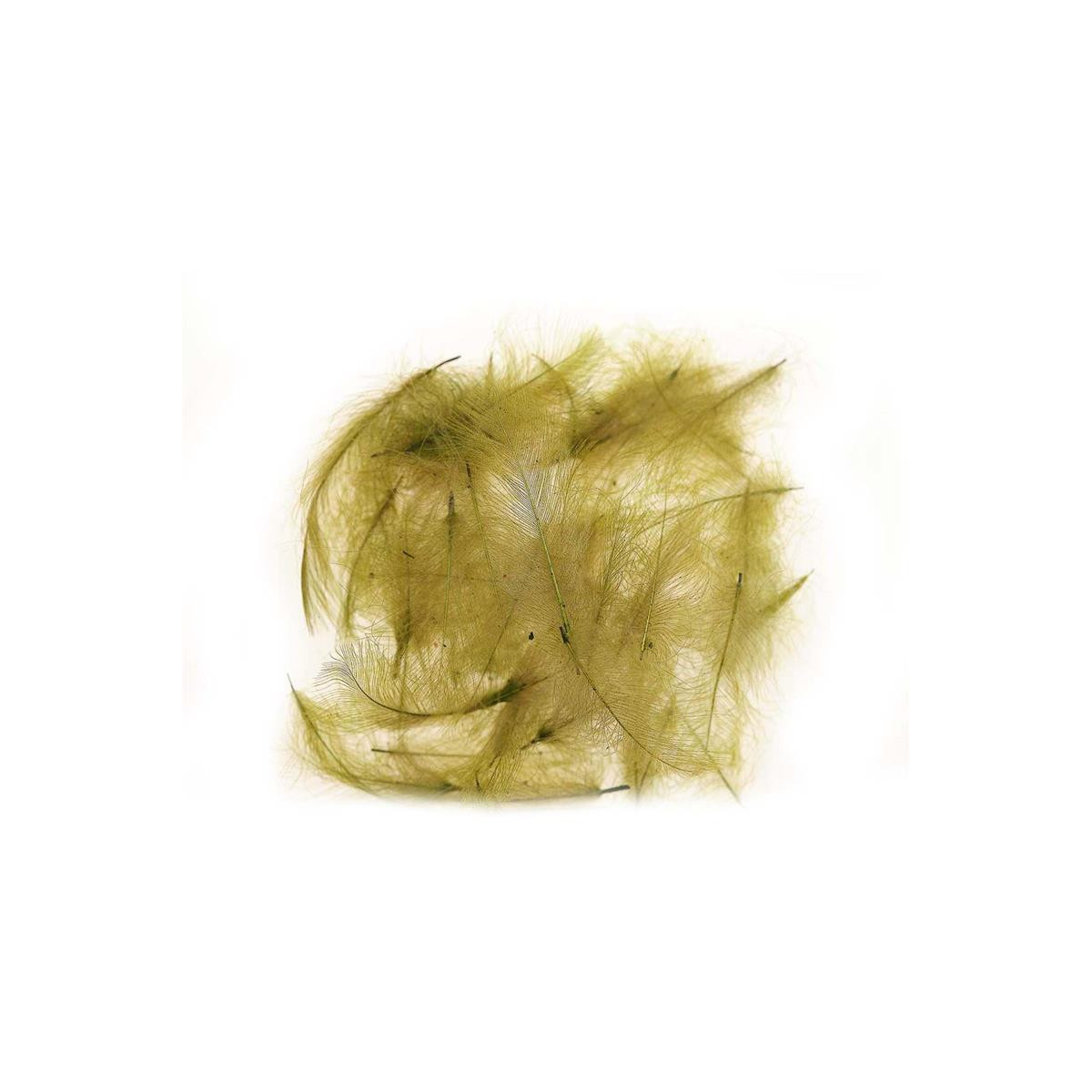 MDC CDC Federn olive